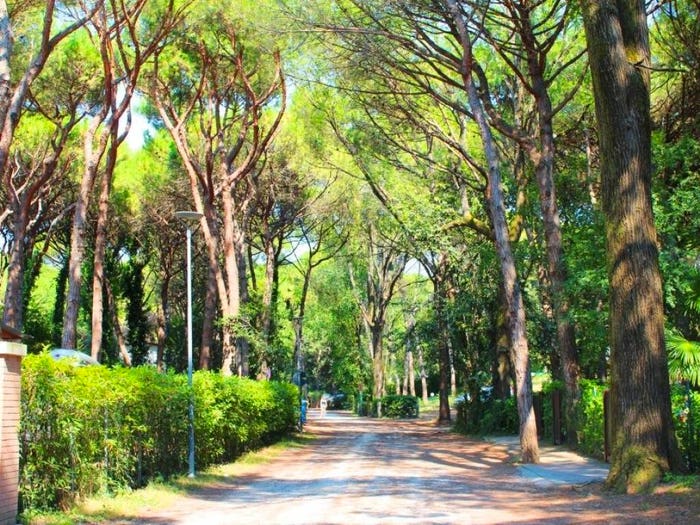 Appartamento trilocale in vendita in Via Dune, Eraclea Mare, Eraclea