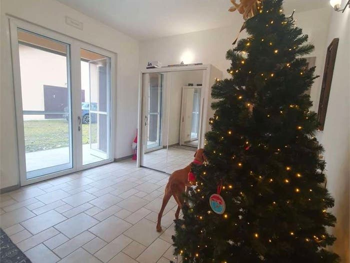 Casa con 6 locali in vendita in VIA PECORELLE, Migliarina Budrione, Carpi