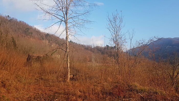 Casa bilocale in vendita in Via di Piana, Gallicano