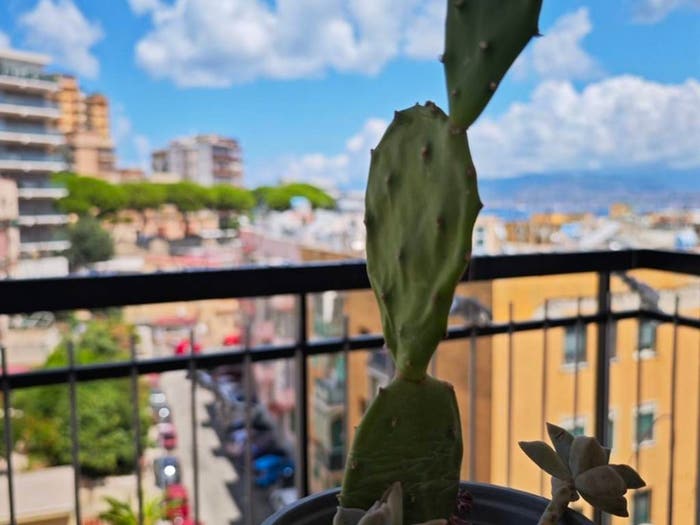 Appartamento quadrilocale in vendita in Via Brasile, Libertà, Messina