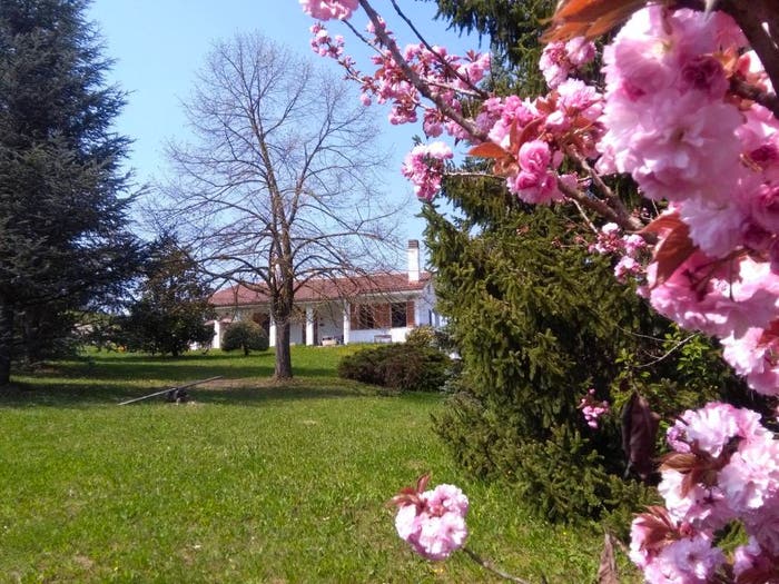 Casa quadrilocale in vendita in Strada Serra, Centro, Antignano