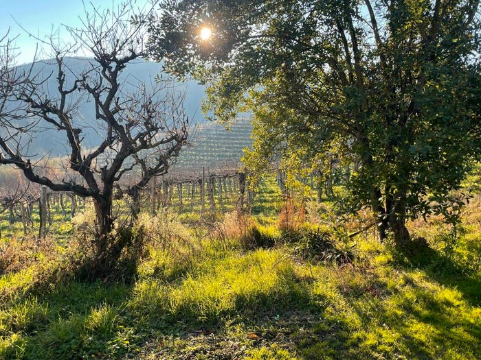 Casa con 6 locali in vendita in Regione Antignano, Alice Bel Colle