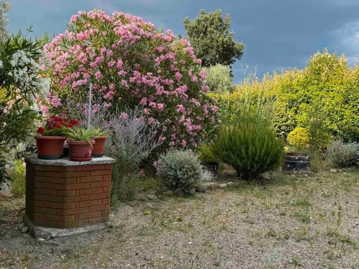 Casa con 6 locali in vendita in Ss, Marsciano
