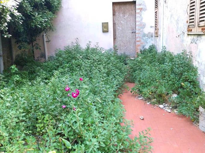 Casa quadrilocale in vendita in Capodimonte, Ancona