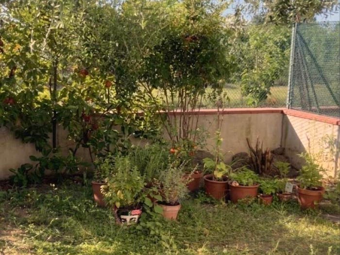Appartamento quadrilocale in vendita in Carraia Torricelli, Empoli