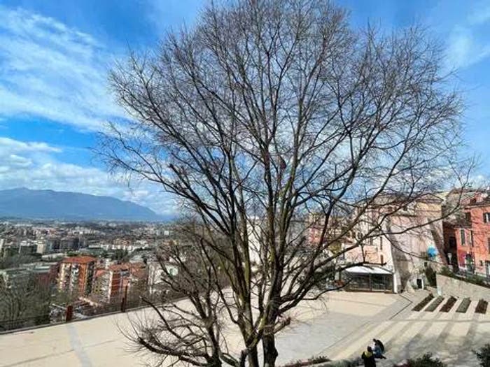 Appartamento con 5 locali in vendita in Via Carloni, Centro, Frosinone