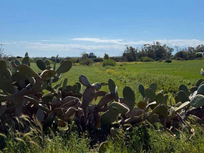 Casa quadrilocale in vendita in Contrada Scianolecchia, Carovigno