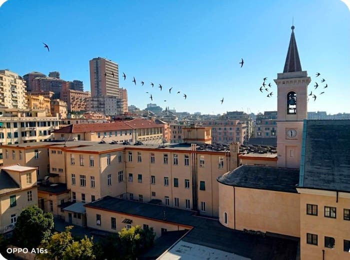 Appartamento con 6 locali in vendita in Via Carlo Rolando, Sampierdarena, Genova