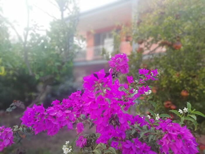 Casa con 6 locali in vendita in Castel Morrone