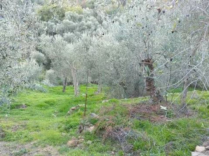 Casa monolocale in vendita in Via Provinciale, Centro, Costarainera