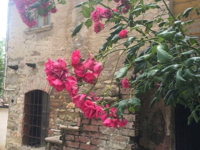Casa quadrilocale in vendita in Località Mulino Vecchio, Bettola