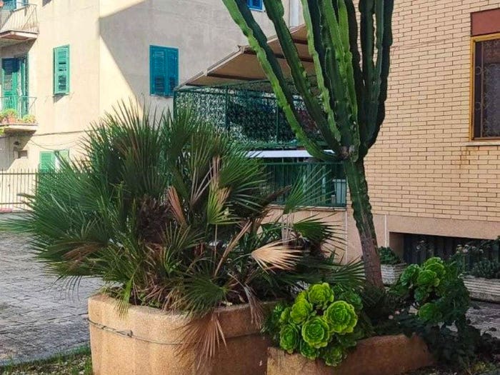 Appartamento trilocale in vendita in Via Pollenza, San Basilio, Roma