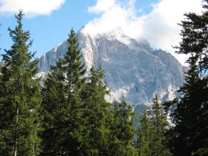 Casa con 6 locali in vendita in Villanova, Borca di Cadore