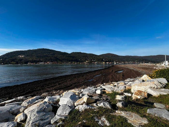Appartamento quadrilocale in vendita in Via Baban, Fiumaretta Di Ameglia, Ameglia