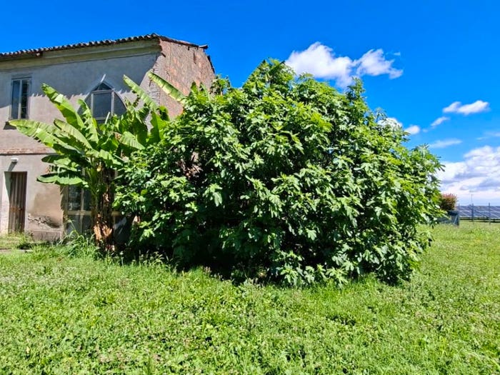 Casa con 5 locali in vendita in Via Aldo Moro, Centro, Arquà Polesine
