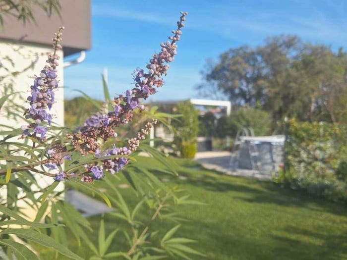 Appartamento con 5 locali in vendita in Papini Oltremare, Riccione