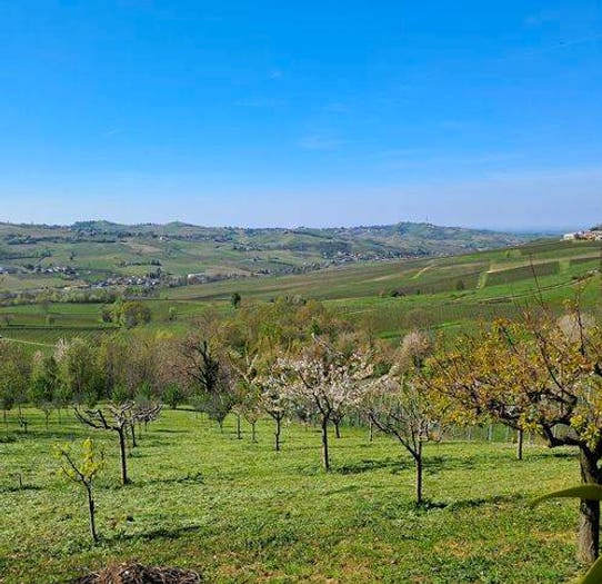 Casa quadrilocale in vendita in Montù Beccaria