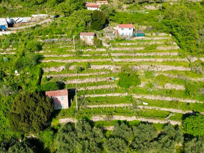 Casa con 6 locali in vendita in Località Abrighetti, Pontedassio
