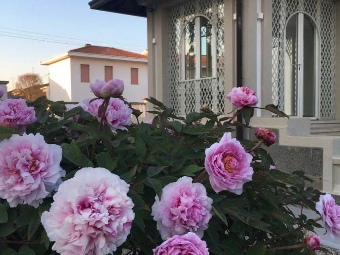 Casa con 6 locali in vendita in Centro, Castano Primo
