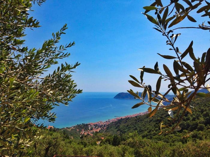 Casa trilocale in vendita in Via Luigi Borri, Fenarina Via Neghelli Collina di Ponente, Alassio
