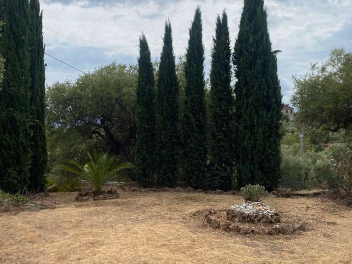 Casa con 5 locali in vendita in Contrada Bianchino, Castrovillari
