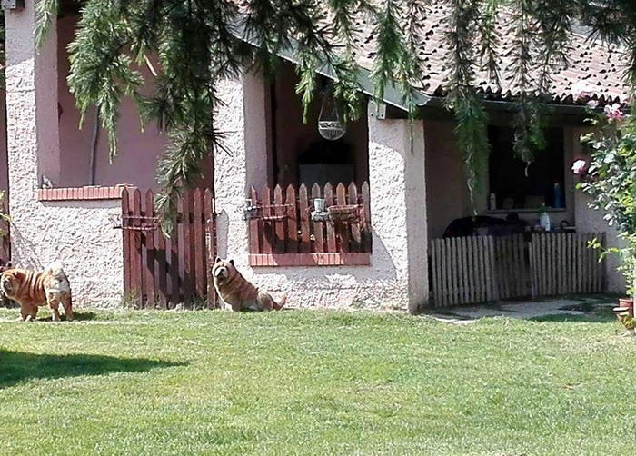 Casa con 6 locali in vendita in Via del Castello, Vignarello, Tornaco