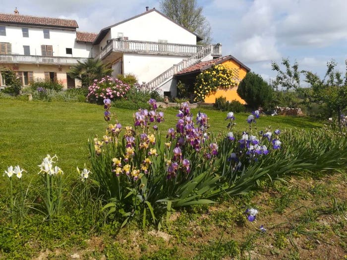 Casa con 6 locali in vendita in Via Giuseppe Garibaldi, Centro, Castagnole Monferrato