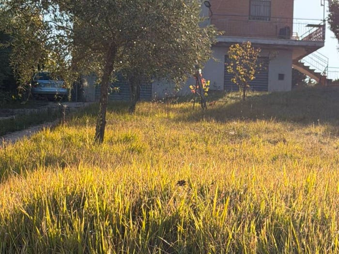 Casa con 6 locali in vendita in Contrada Bore, San Vittoria In Matenano, Santa Vittoria in Matenano