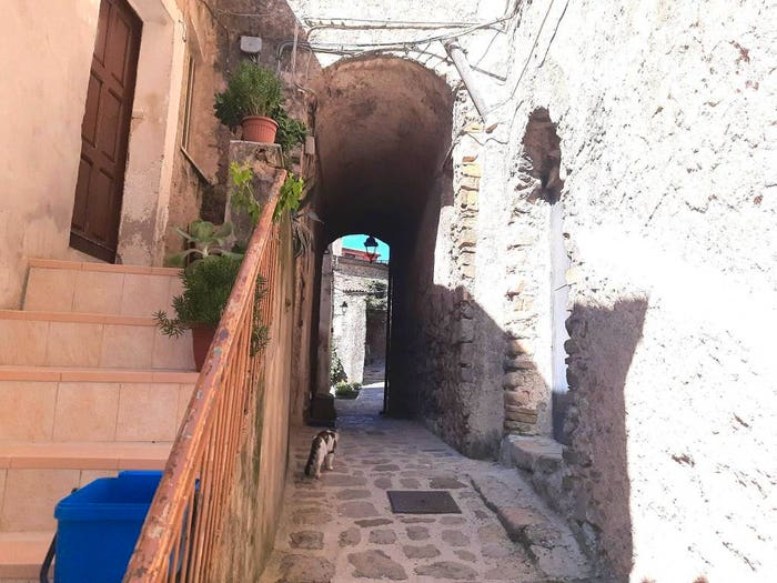 Case in Vendita e in Affitto - 2