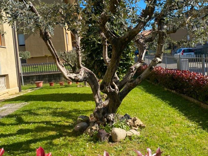 Appartamento quadrilocale in vendita in Via Armando Polpettini, Promano, Città di Castello