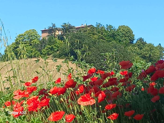 Casa con 6 locali in vendita in Via Castello, Monte San Pietro