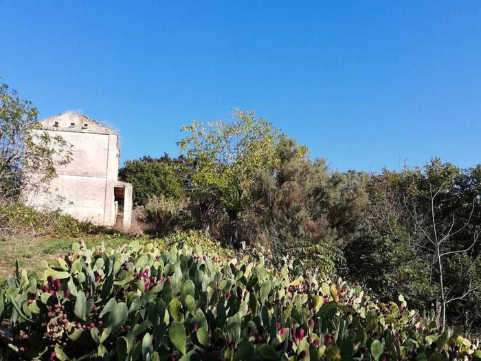 Casa con 6 locali in vendita in contrada Tratturo, Monteodorisio