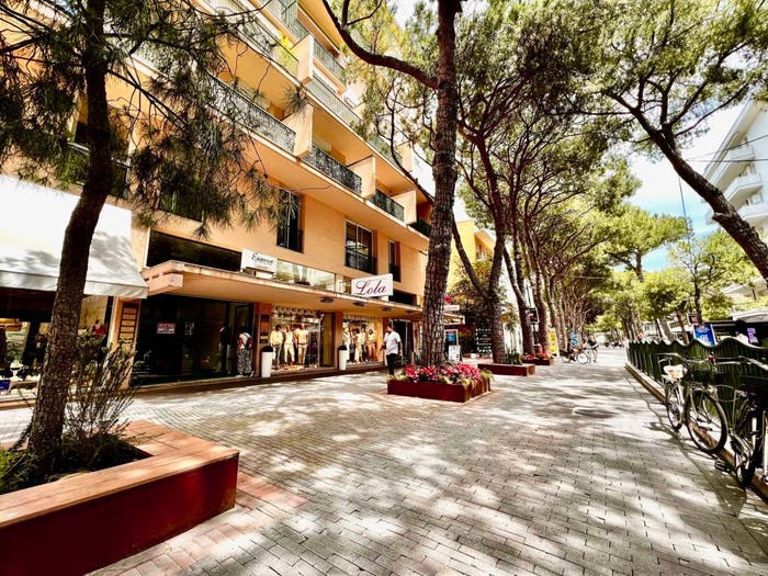 Appartamento con 5 locali in vendita in Viale Maria Borman Ceccarini, Centro, Riccione