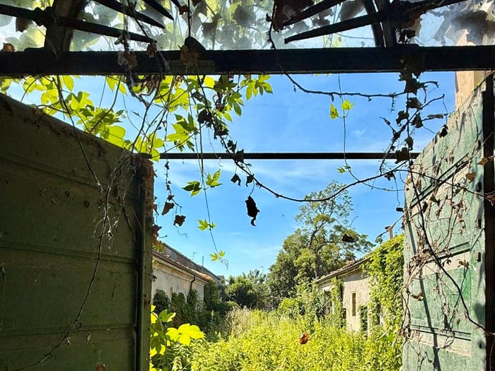 Casa con 6 locali in vendita in Via Enzo Dalai, Centro, Luzzara