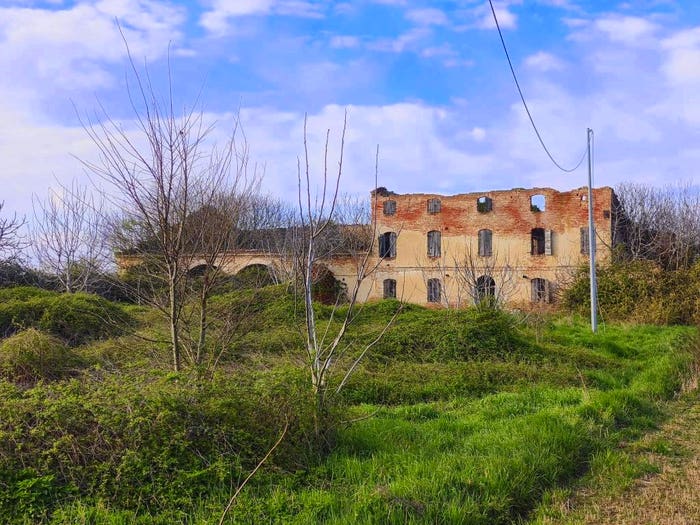 Casa con 6 locali in vendita in Via Bosco, Casaleone