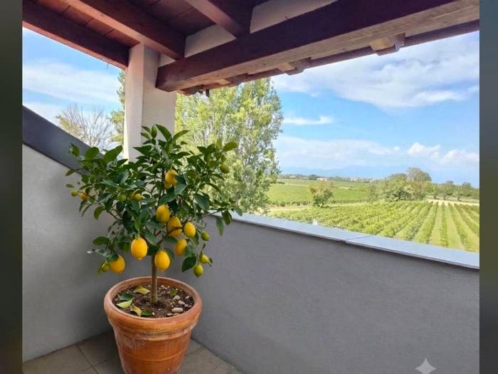 Appartamento monolocale in vendita in Via dei Colli Storici, Rivoltella, Desenzano del Garda