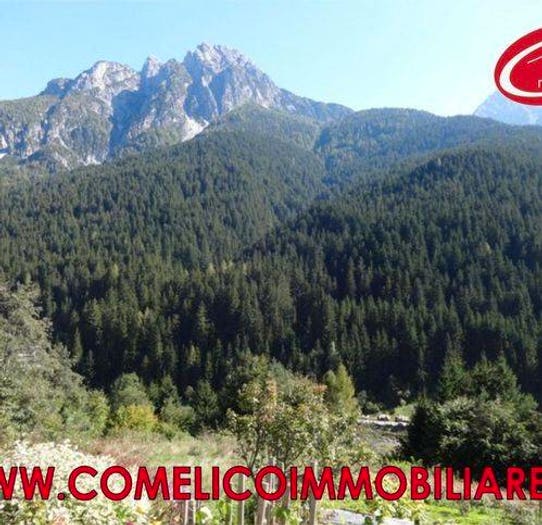 Appartamento trilocale in vendita in San Pietro di Cadore