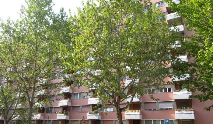 Appartamento trilocale in vendita in Via Maggio, Centro, Sesto San Giovanni