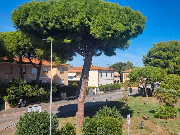 Appartamento quadrilocale in vendita in Piazza Leonetto Cappiello, Ardenza, Livorno
