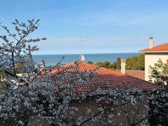 Appartamento quadrilocale in vendita in Centro, Falconara Marittima