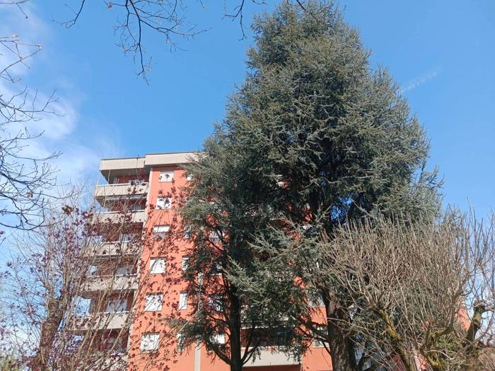 Appartamento bilocale in vendita in Via Giacomo Matteotti, Bettola Zelo Foramagno, Peschiera Borromeo