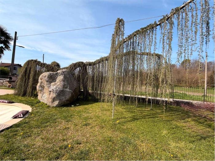 Casa con 5 locali in vendita in Bolzano Novarese