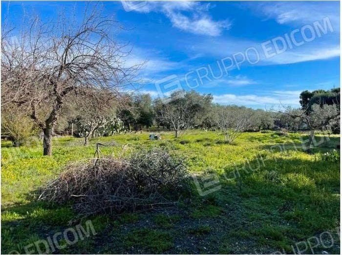 Casa con 5 locali in vendita in Carrara lo staglio, Bisceglie