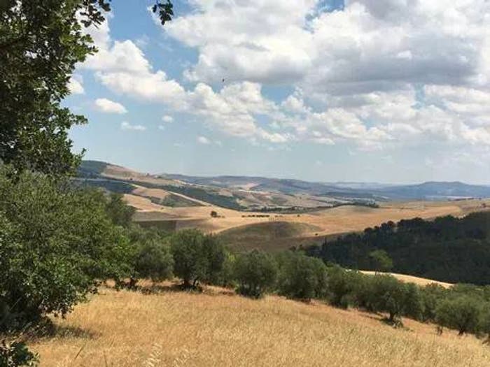 Appartamento quadrilocale in vendita in Urb Appartamenti Grassano, Grassano