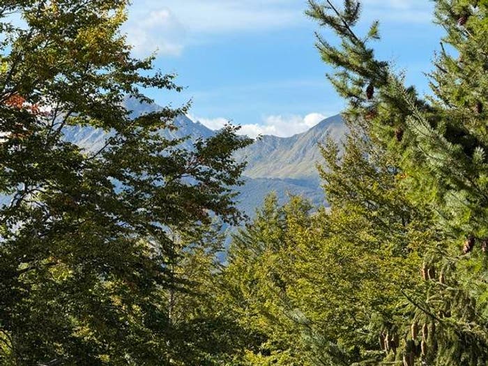 Appartamento bilocale in vendita in Cerreto Laghi, Ventasso