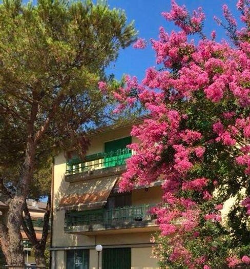Appartamento con 6 locali in vendita in Via Stradella, Ronchi Poveromo, Massa