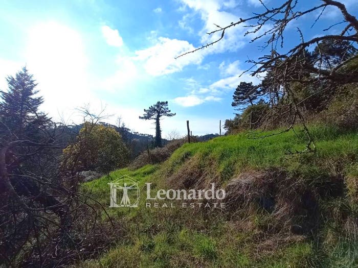 Casa con 5 locali in vendita in via scarpone, Camaiore Paese, Camaiore