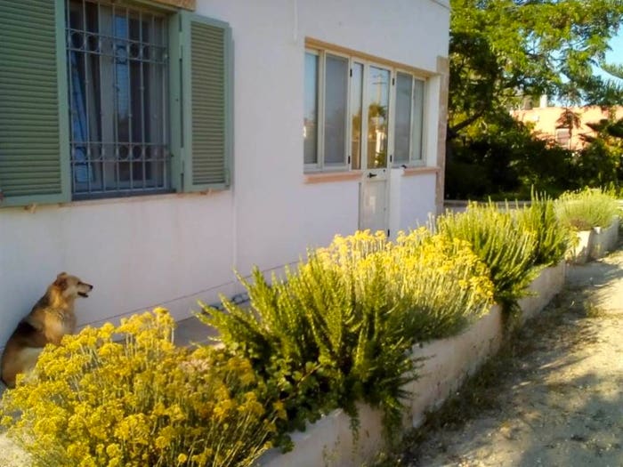 Casa con 5 locali in vendita in Galatone