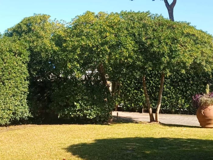 Casa con 5 locali in vendita in Via degli Olmi, Vaiana, Forte dei Marmi