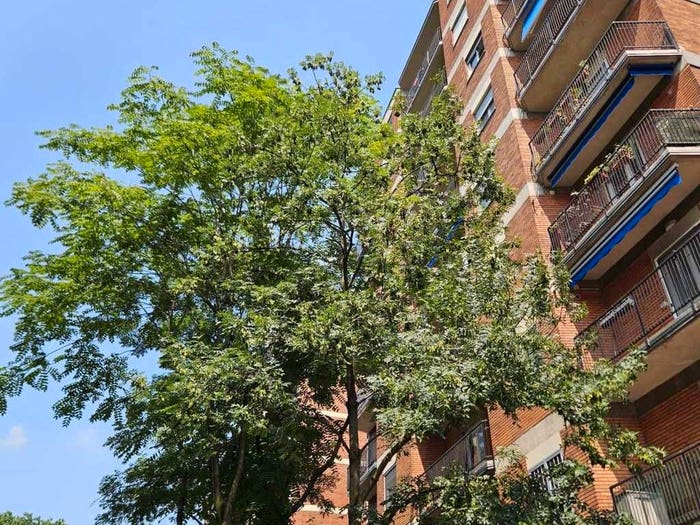 Appartamento bilocale in affitto in Viale Etiopia, Tripoli Soderini, Milano